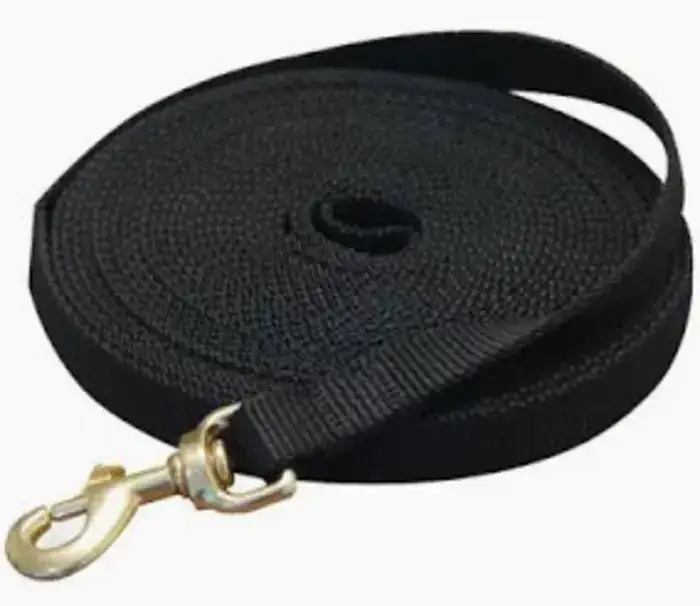 רצועת אילוף 10 מטר