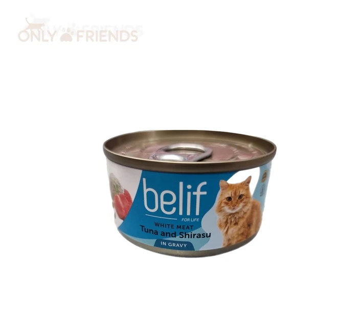 Belif ברוטב טונה ושירסו.