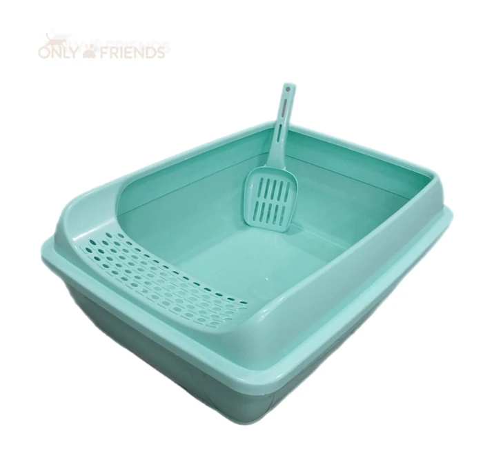 שירותים פתוחים מדרגה S מנטה.