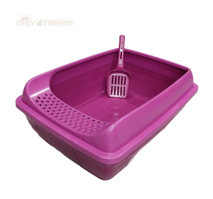 שירותים פתוחים מדרגה S בורדו.