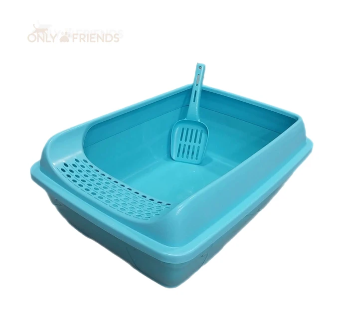 שירותים פתוחים מדרגה S תכלת